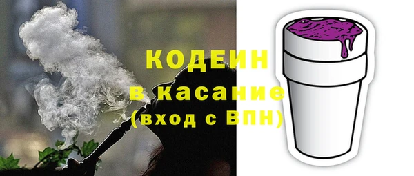 хмурый Гусь-Хрустальный