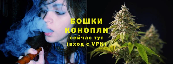хмурый Гусь-Хрустальный