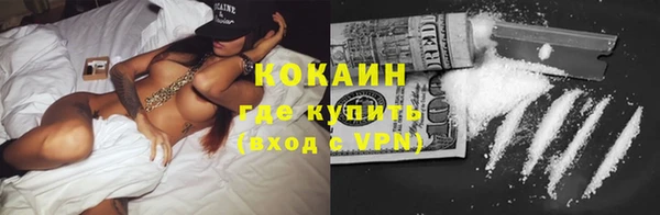 хмурый Гусь-Хрустальный