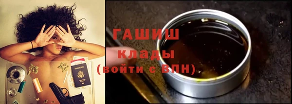 хмурый Гусь-Хрустальный