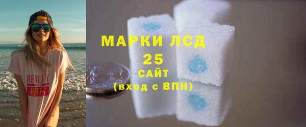 хмурый Гусь-Хрустальный
