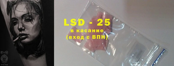 хмурый Гусь-Хрустальный