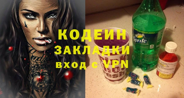 хмурый Гусь-Хрустальный