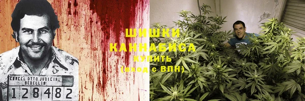 дмт Горняк