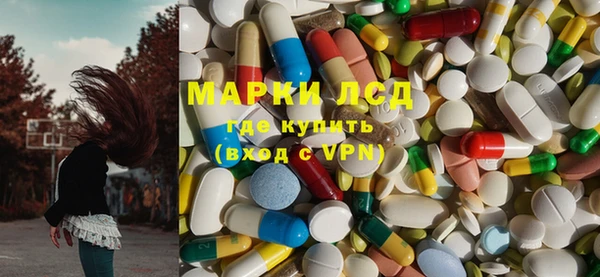 хмурый Гусь-Хрустальный