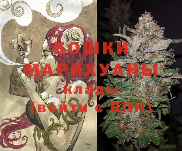 твердый Гусиноозёрск