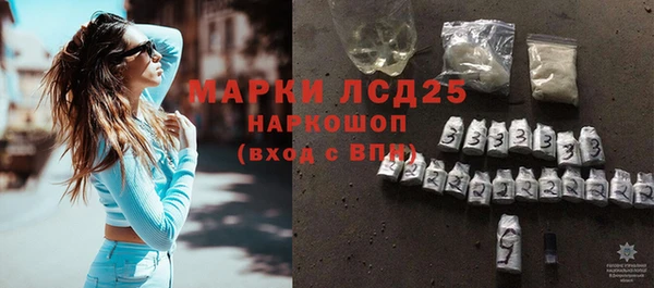 хмурый Гусь-Хрустальный