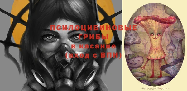 твердый Гусиноозёрск