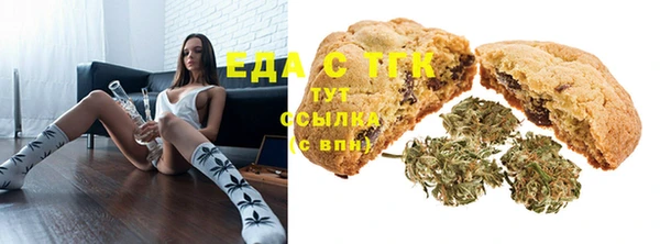 хмурый Гусь-Хрустальный
