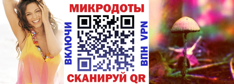Галлюциногенные грибы мицелий Купить где Соль-Илецк